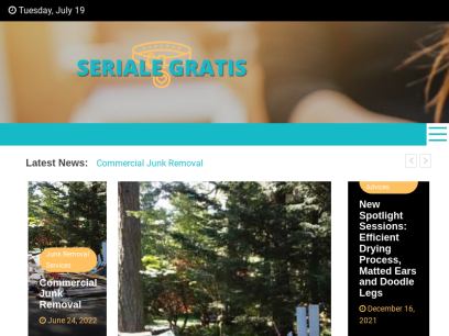 serialegratis.org.png