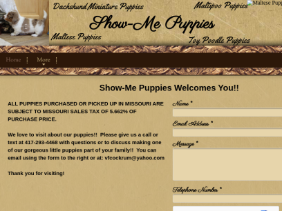 show-mepuppies.com.png