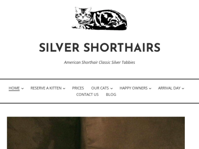 silvershorthairs.com.png