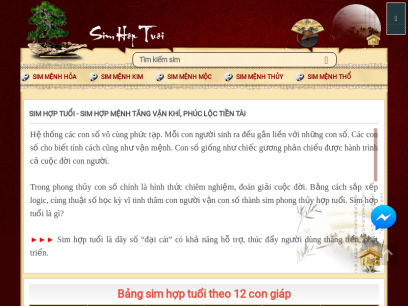 simhoptuoi.com.vn.png