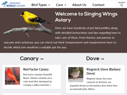 singing-wings-aviary.com.png