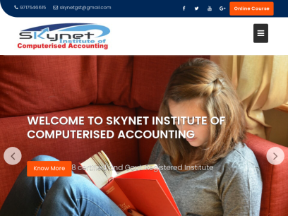 skynetinstitute.com.png