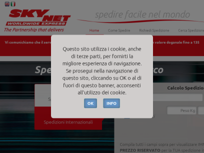skynetitaly.it.png