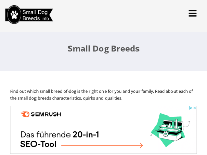 smalldogbreeds.info.png