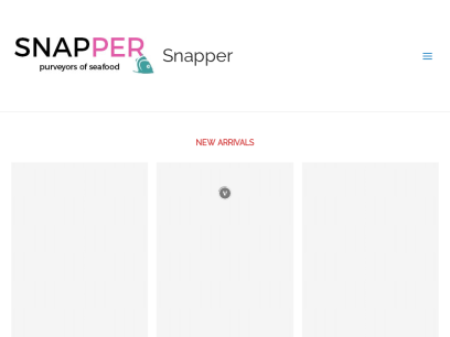 snapper.co.in.png