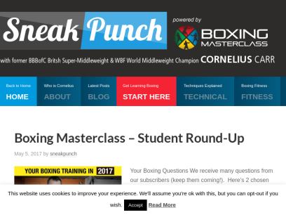 sneakpunch.com.png