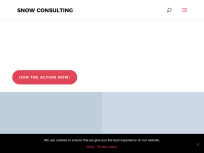 snow-consulting.com.png