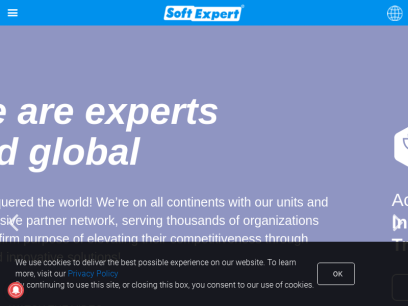 softexpert.com.png