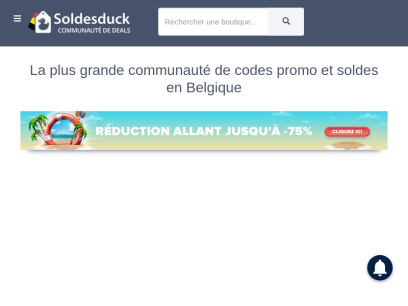 soldesduck.be.png