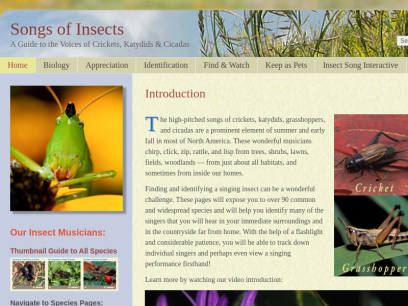 songsofinsects.com.png