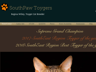 southpawtoygers.com.png
