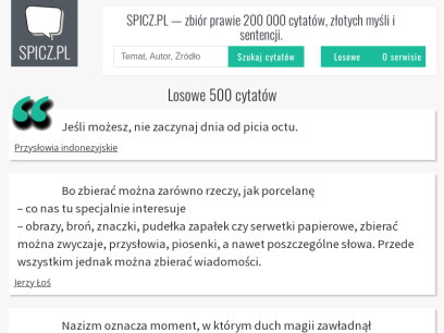 spicz.pl.png