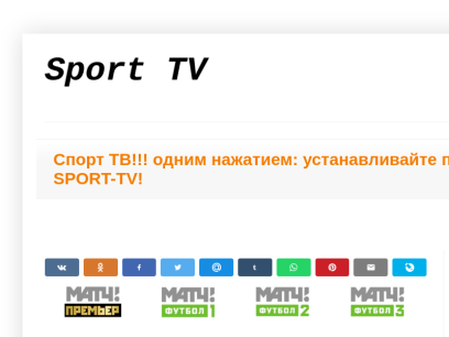 sport-tv.biz.png