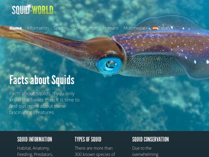 squid-world.com.png