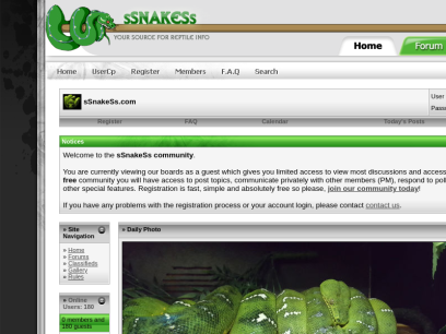 ssnakess.com.png