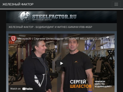 steelfactor.ru.png