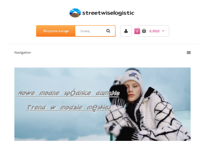 streetwiselogistic.com.png