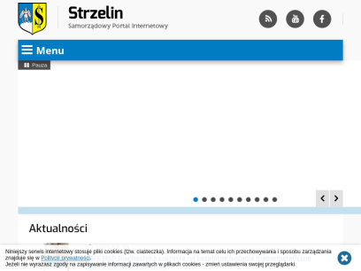 strzelin.pl.png