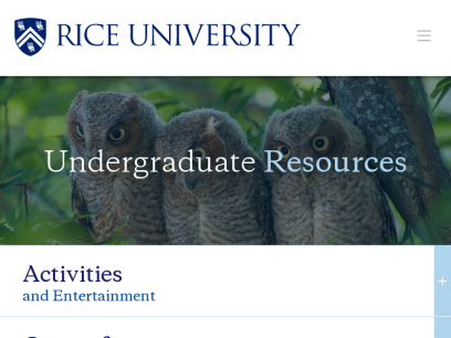 Undergraduate Resources