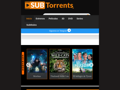 subtorrents.net.png