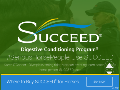 succeed-equine.com.png