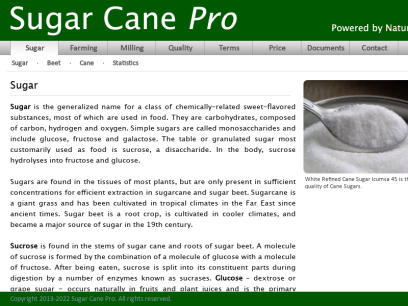 sugarcanepro.com.png
