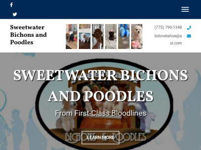 sweetwaterbichonfriseandpoodles.com.png