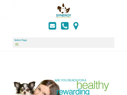 Veterinary Behavior &amp; Training Portland, Oregon | Synergy Behavior Solutions