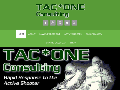 taconeconsulting.com.png