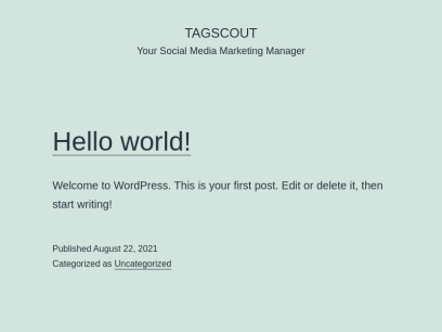 tagscout.com.png