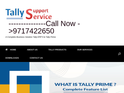 tallysupportservice.com.png