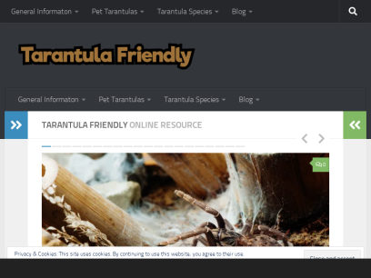 tarantulafriendly.com.png