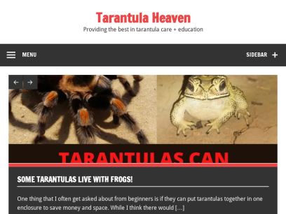 tarantulaheaven.com.png