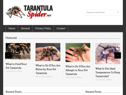 tarantulaspider.net.png
