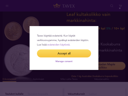 tavex.fi.png