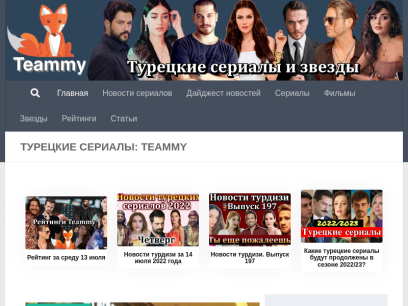 teammy.ru.png