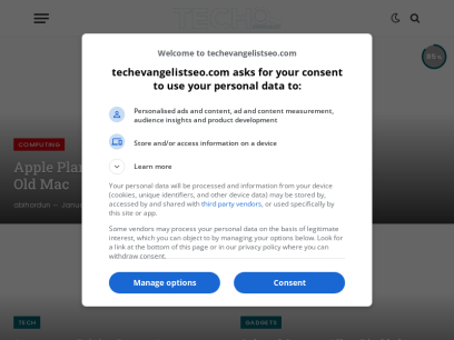 techevangelistseo.com.png