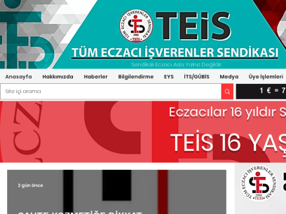 teis.org.tr.png