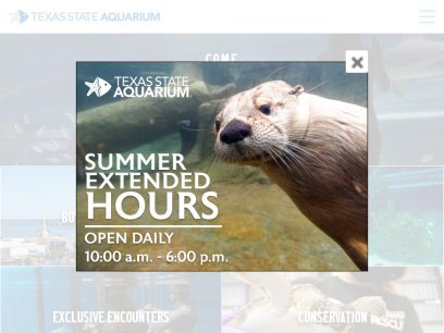 texasstateaquarium.org.png