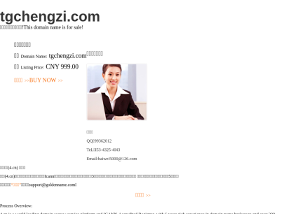 tgchengzi.com.png