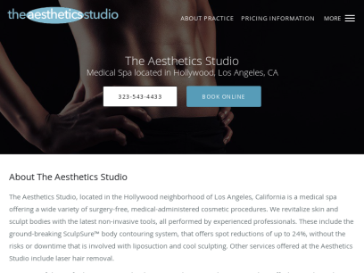 the-aesthetics-studio.com.png