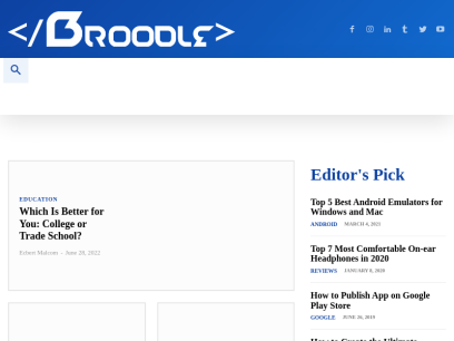 thebroodle.com.png