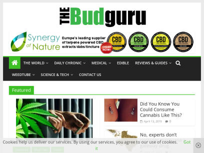 thebudguru.com.png