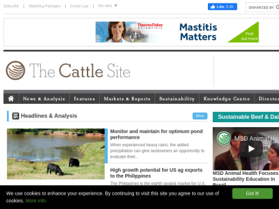 thecattlesite.com.png