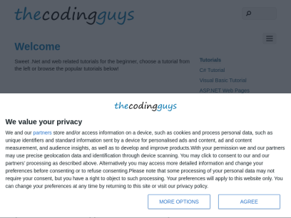 thecodingguys.net.png