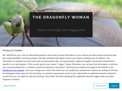 thedragonflywoman.com.png