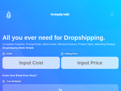 thedropshiptoolkit.com.png