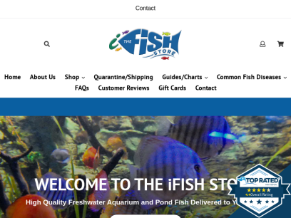 theifishstore.com.png
