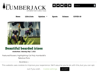 thelumberjack.org.png