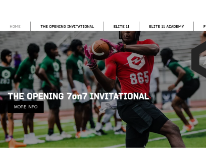 theopening.com.png
